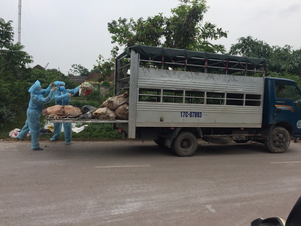 Bắc Giang: Phát hiện vụ đổ trộm 300kg xác động vật hôi thối ra môi trường