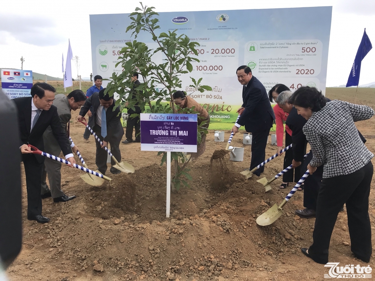Nhân dịp khởi công “Resort” bò sữa Organic, các đại biểu đã trồng cây chăm pa, cây lộc vừng và cây hoa anh đào tượng trưng cho 3 nước Lào - Việt Nam – Nhật Bản.