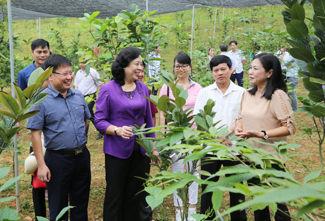 Phó Bí thư Thường trực Thành ủy kiểm tra sản xuất nông nghiệp và kiểm dịch tại Sóc Sơn