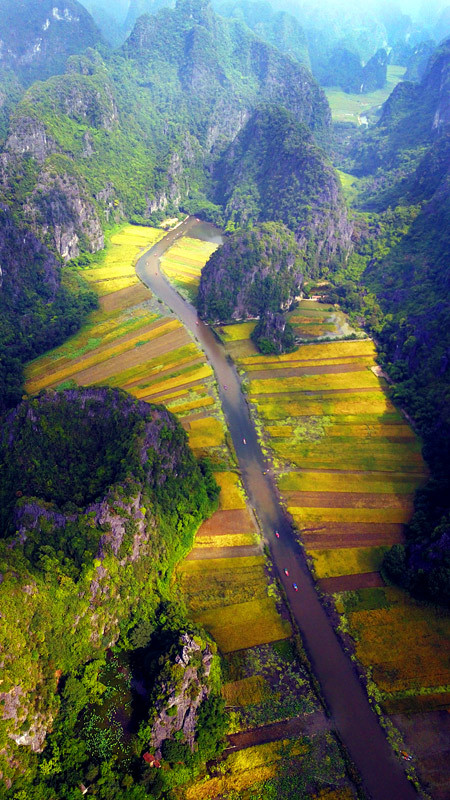 Thu trọn mùa vàng Tam Cốc từ đỉnh 