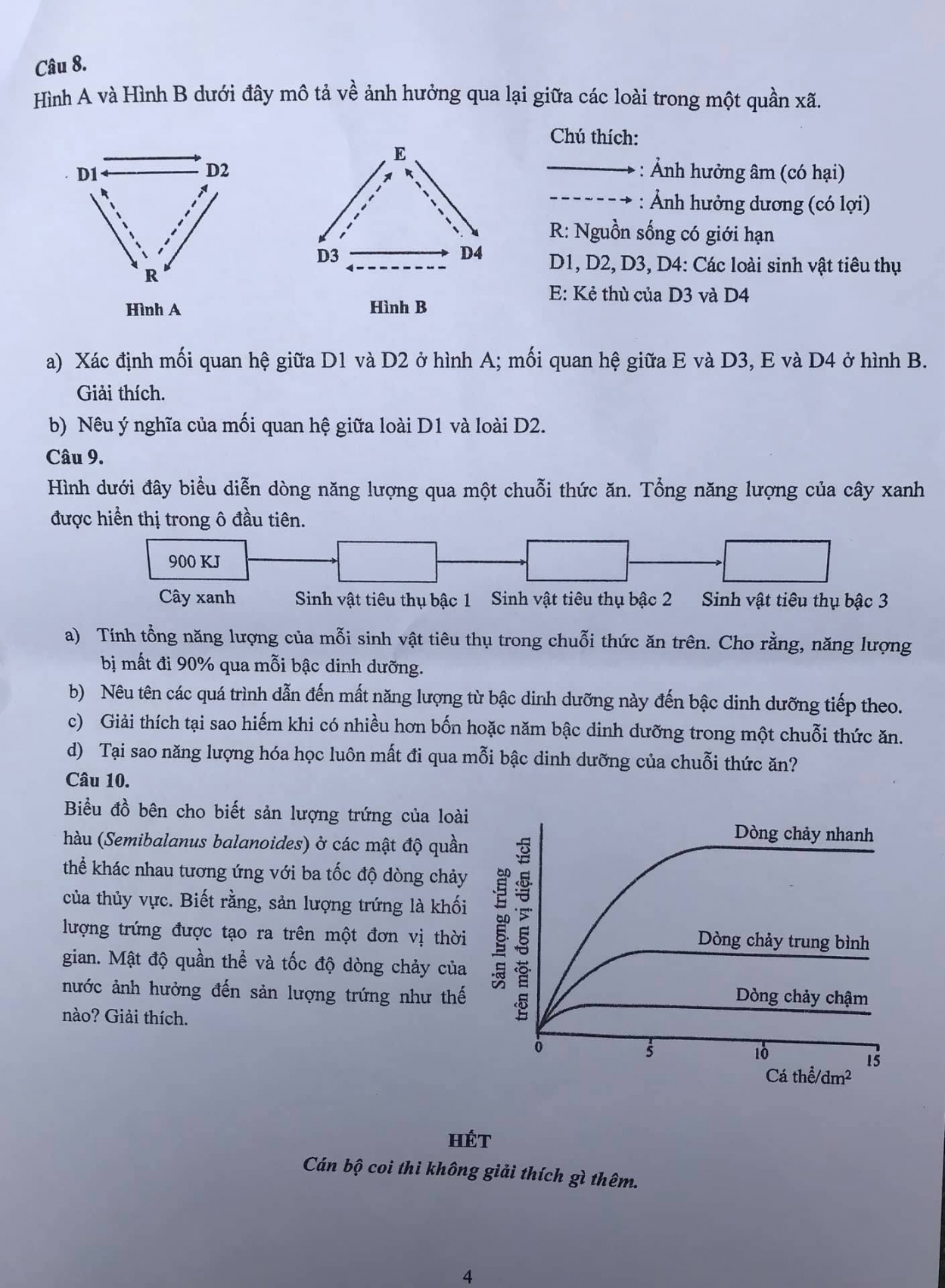 Câu hỏi trắc nghiệm, phù hợp để chọn học sinh có đủ năng lực