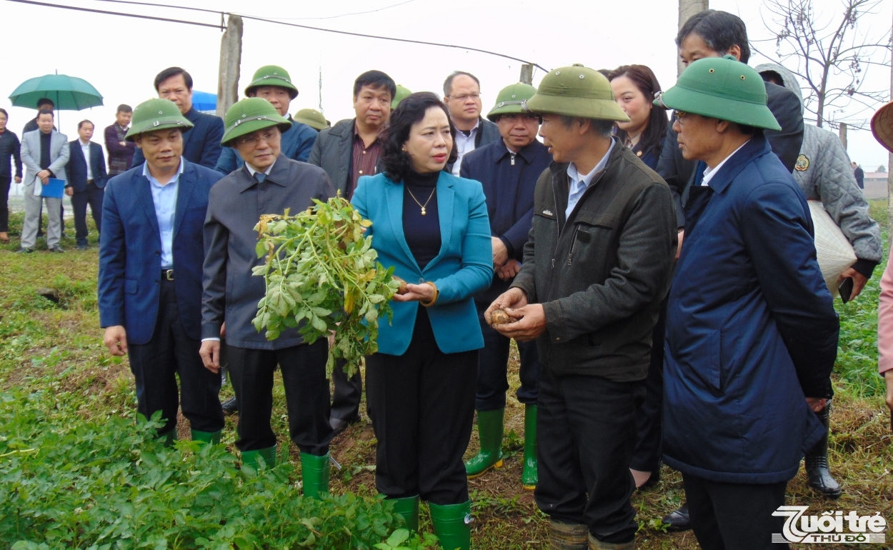 Nông thôn mới Hà Nội tập trung thực hiện nhiệm vụ “kép”