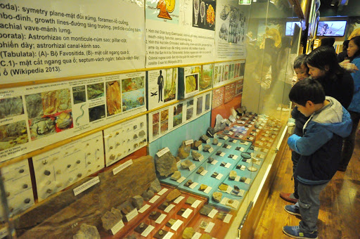 Hà Nội phê duyệt nhiệm vụ quy hoạch chi tiết Bảo tàng Thiên nhiên Việt Nam