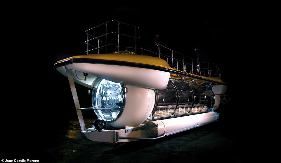 Tỷ phú Phạm Nhật Vượng đặt mua tàu ngầm đưa du khách lặn biển tại Vinpearl