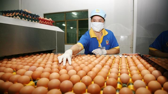 Xây dựng thương hiệu sản phẩm OCOP trứng gà siêu sạch Ba Huân