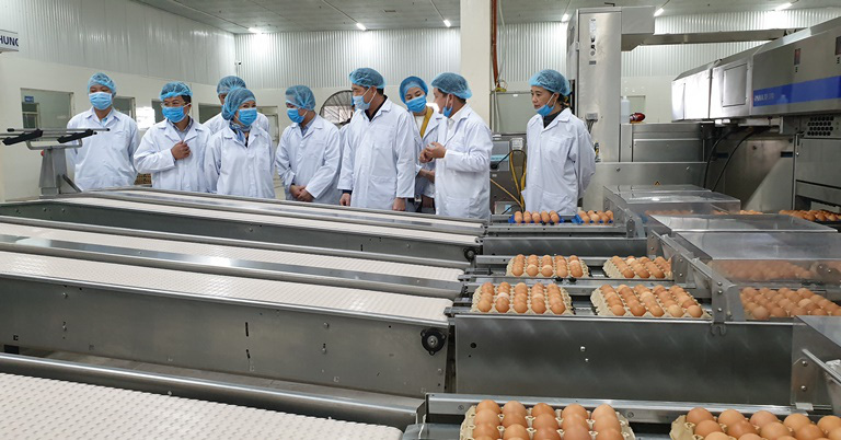 Vừa qua, sản phẩm trứng gà Ba Huân được UBND TP Hà Nội chính thức công nhận là sản phẩm OCOP 4 sao