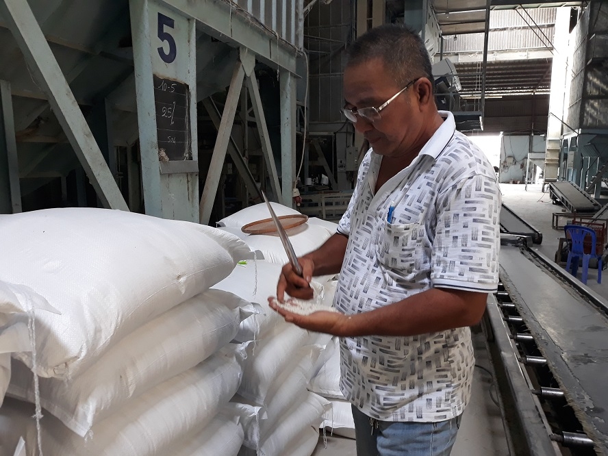Nhiều doanh nghiệp kêu trời vì rất khó thu mua lúa gạo IR50404 do giá thành và chất lượng thấp, ảnh hưởng của dịch bệnh và hạn hán nên người dân không bán