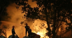 Liên tiếp xảy ra các vụ cháy thiêu rụi hàng chục ha rừng tại Quảng Nam