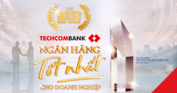 Techcombank là nhà cung cấp các giải pháp tài chính tốt nhất cho doanh nghiệp vừa và nhỏ