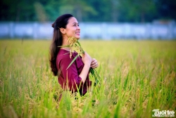 Gạo hữu cơ Đồng Phú: Sản phẩm OCOP 4 sao hướng tới thị trường xuất khẩu