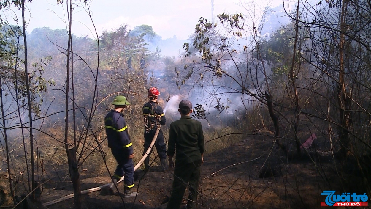 Đà Nẵng: Nắng nóng, 5ha rừng keo nằm sát sân bay bị cháy rụi