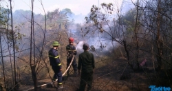 Đà Nẵng: Nắng nóng, 5ha rừng keo nằm sát sân bay bị cháy rụi