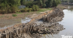 Sớm giải quyết tình trạng hạn mặn tại Đồng bằng sông Cửu Long