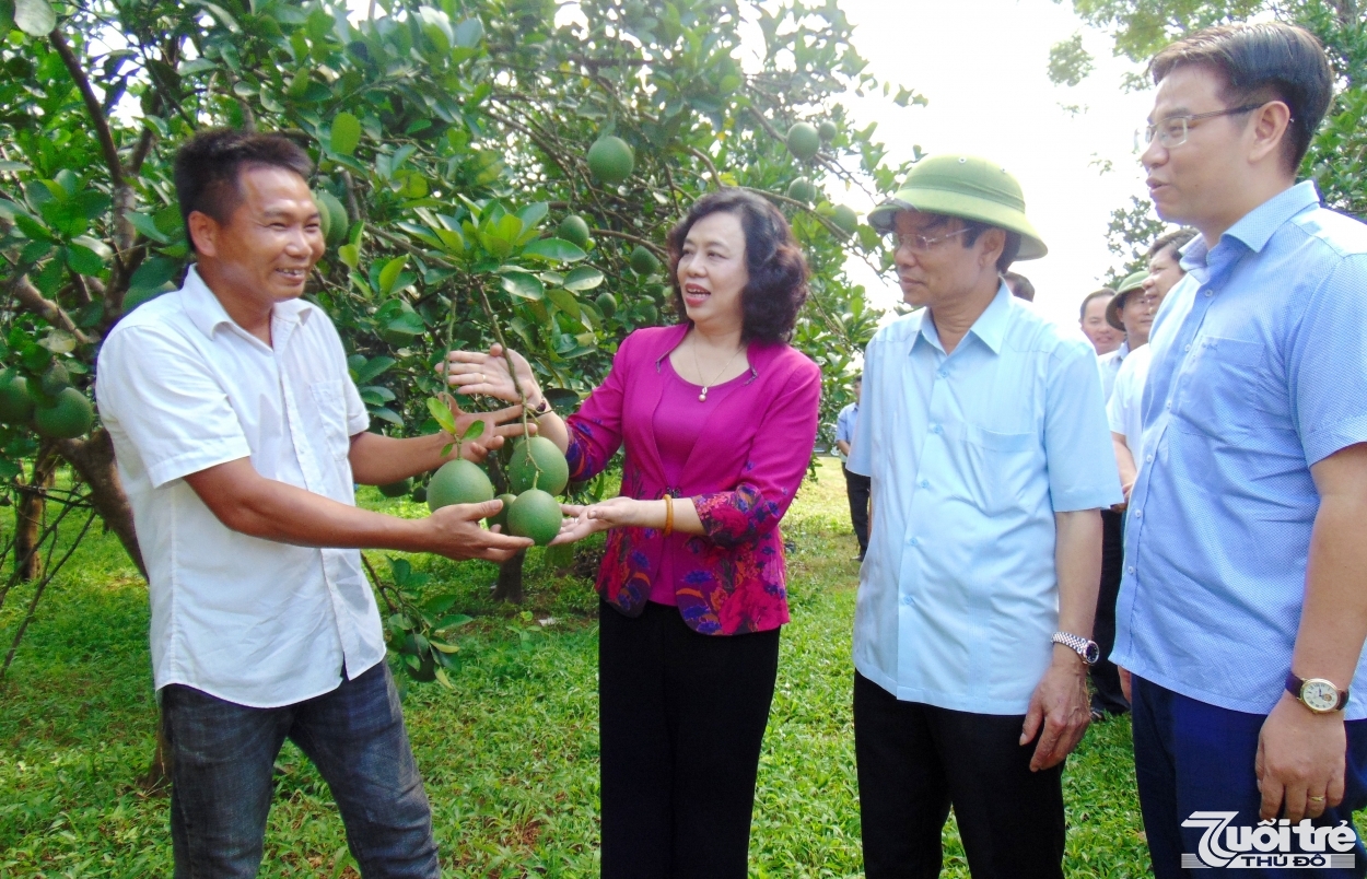 Động lực để Chương Mỹ phát triển kinh tế nông thôn