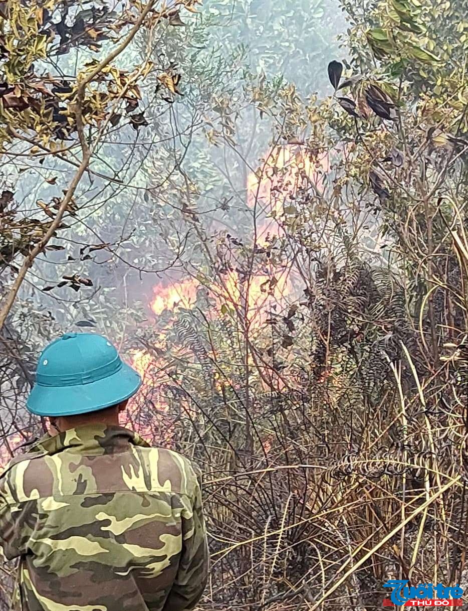 Lực lượng tiếp cận hiện trường cháy rừng (Ảnh: V.Q)