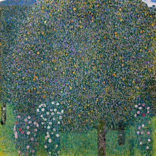 Tác phẩm Hoa hồng dưới tán cây của Gustav Klimt