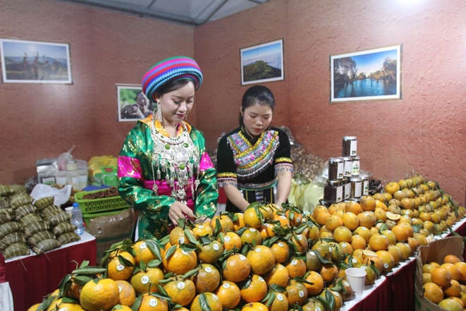 Các sản phẩm OCOP được đánh giá xếp hạng đã có bước tiến về chất lượng, đa dạng về mẫu mã, bao bì, đảm bảo điều kiện, quy định về tem, nhãn mác, truy xuất nguồn gốc sản phẩm