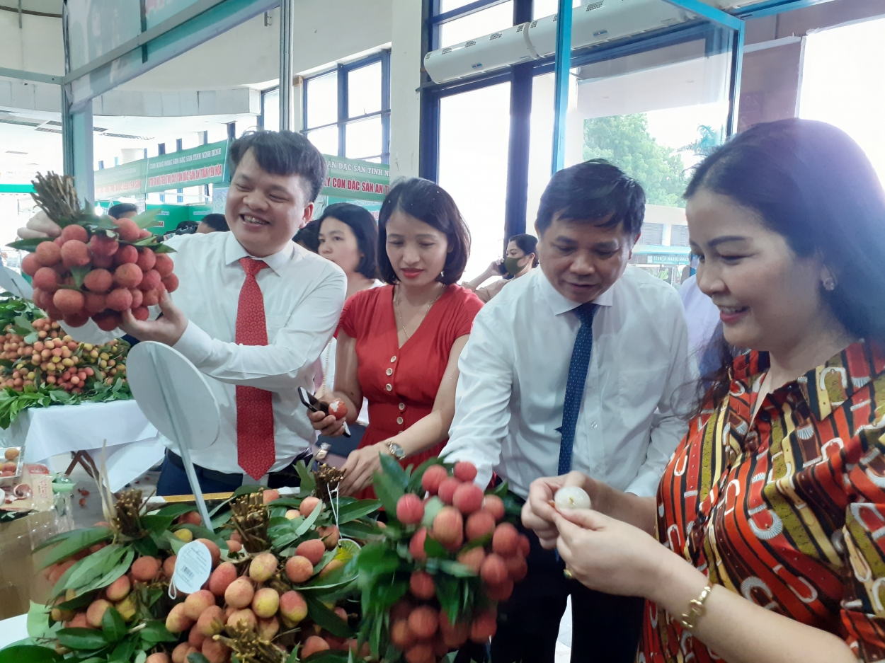 Các đại biểu thăm gian hàng bán vải thiều Thanh Hà