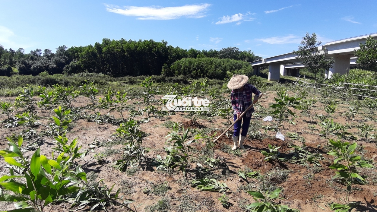 Đa số người dân xã Hòa Phú vẫn chưa đồng ý việc đền bù đất nông nghiệp có dự án đi qua (Ảnh: V.Q)