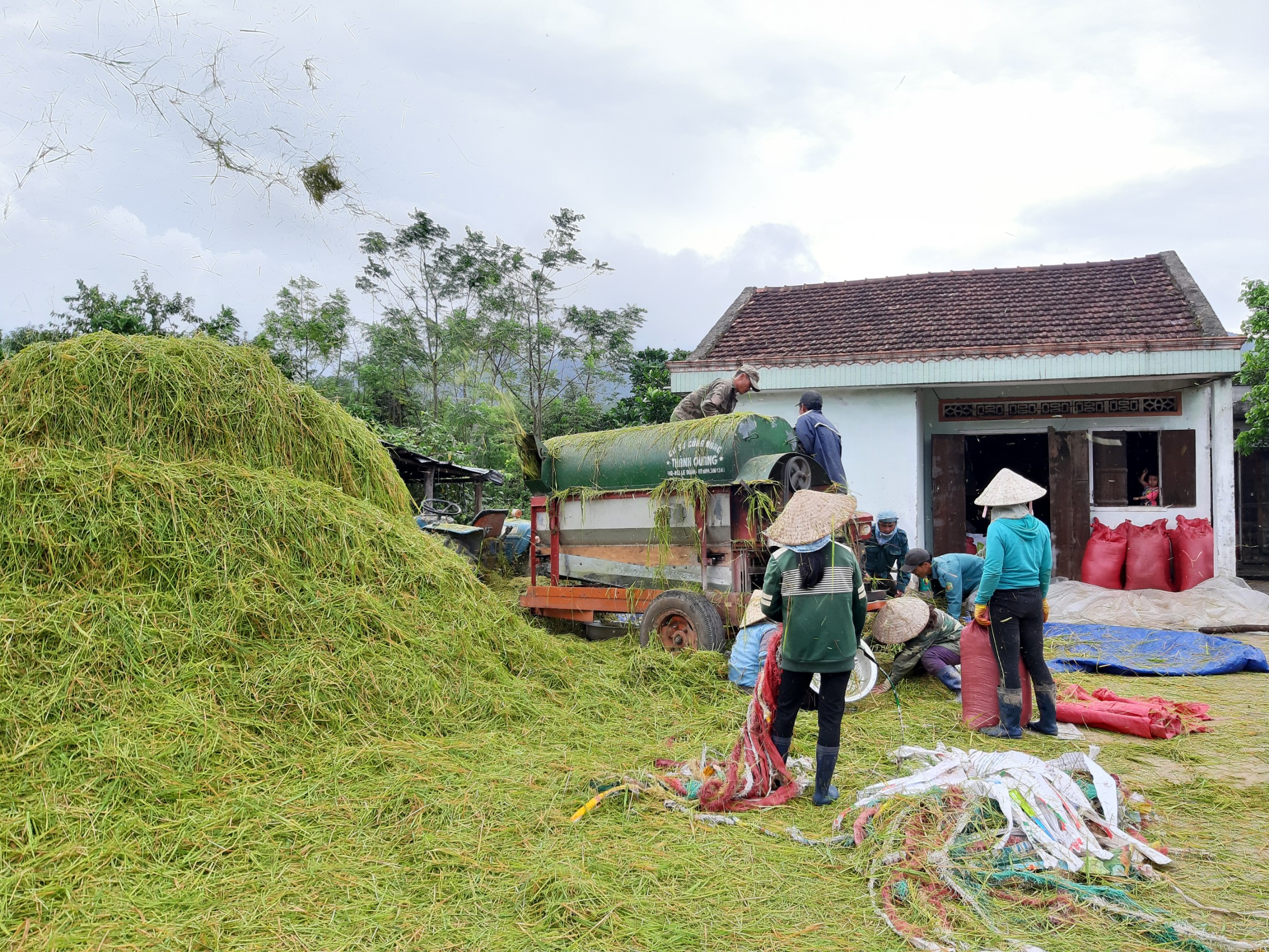 Gia Lai: Vướng mắc nhiều tiêu chí trong xây dựng Nông thôn mới