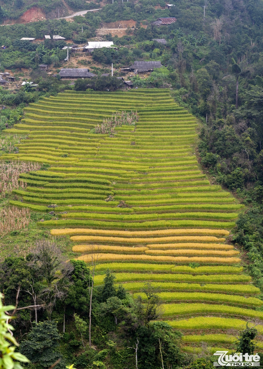 Trên đường đi có thể ngắm ruộng bậc thang,