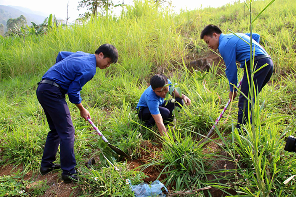 Đoàn viên tỉnh Sơn La trồng cây hỗ trợ các mô hình phát triển của thanh niên. Ảnh: Diệp Anh/TTXVN