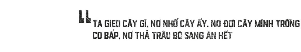 Sự bình yên của họ Đặng
