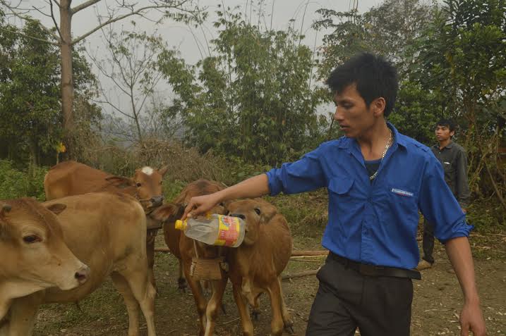 Cán bộ Đoàn sẵn sàng cho vay vốn để cùng làm giàu