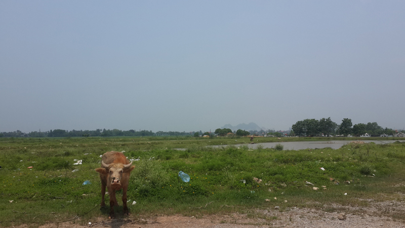 Những bất thường trong vụ việc “đi đòi nợ bị khởi tố”: Nhiều sai phạm của Công ty Đông Á