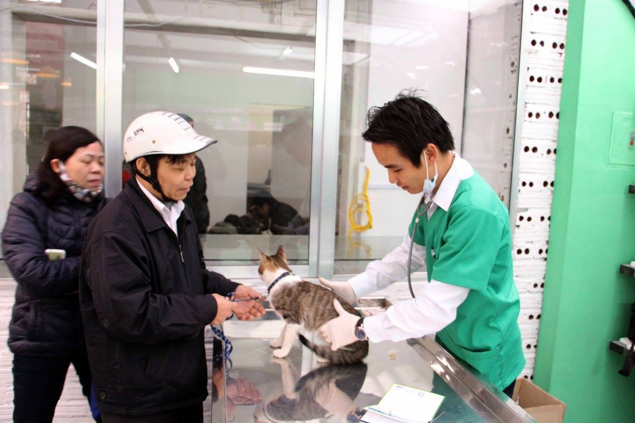 Trạm cứu hộ chó mèo của nhóm bạn trẻ 9X