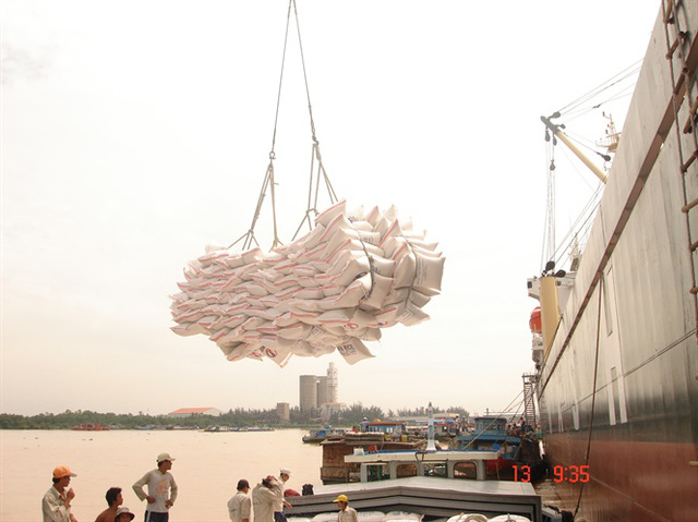 Nhiều nước trong khu vực quay trở lại nhập khẩu gạo Việt Nam
