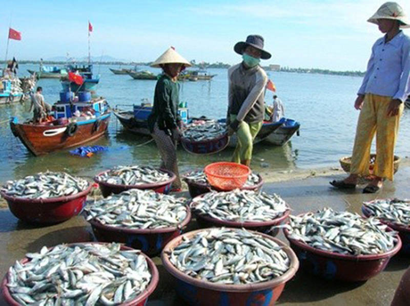 Chính phủ gỡ vướng chính sách bảo hiểm thủy sản