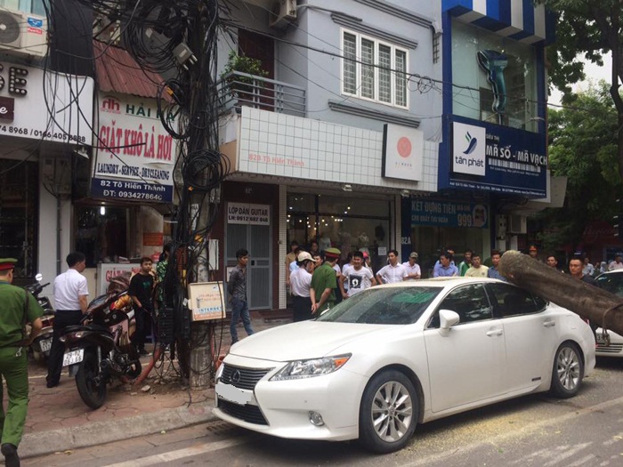 Hà Nội: Cây xanh bất ngờ đổ, đè nát xế hộp Lexus