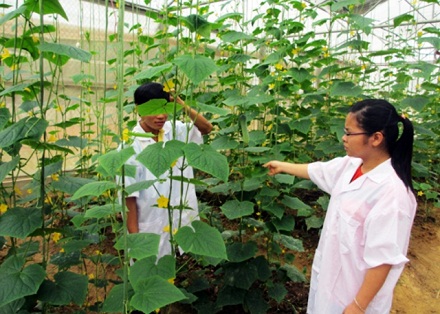 Thành lập Viện Nông nghiệp Thanh Hóa