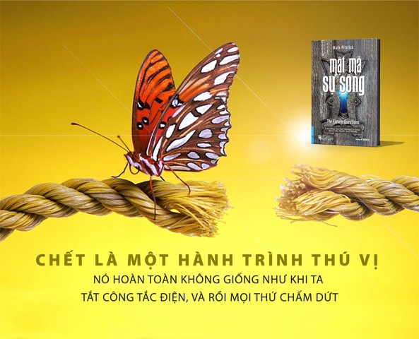 Cùng giải đáp 