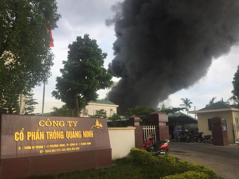 Cháy lớn tại  Công ty  Cổ Phần Thông Quảng Ninh