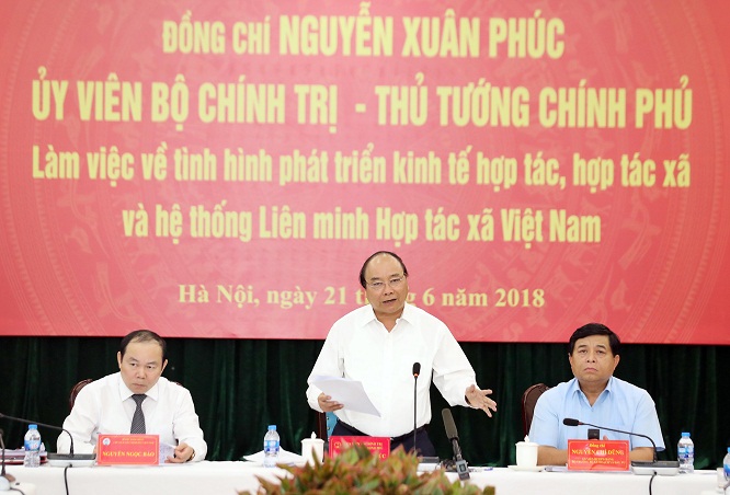 Hợp tác xã có sứ mệnh quan trọng trong quá trình hội nhập