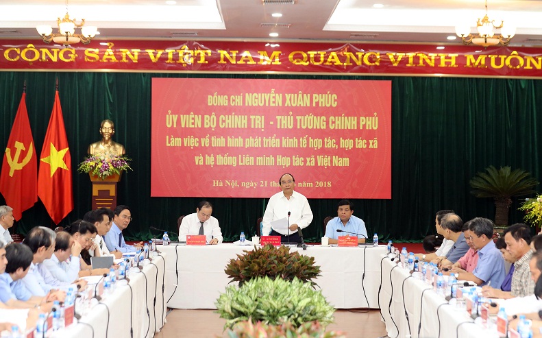 Hợp tác xã có sứ mệnh quan trọng trong quá trình hội nhập