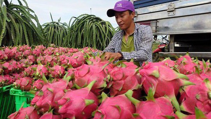Kim ngạch xuất nhập khẩu cán mốc 200 tỷ USD