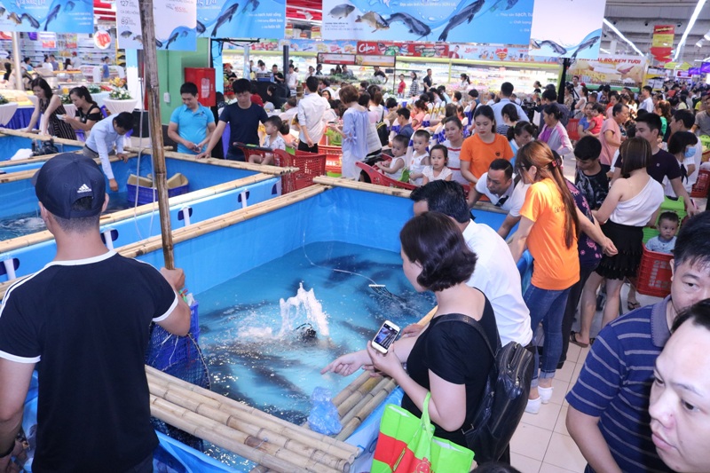 Lần đầu tiên tổ chức tuần lễ cá Sông Đà tại Hà Nội