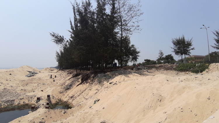 Đà Nẵng: Thông tin mới vụ chặt hạ 3 hecta rừng phòng hộ ven biển để làm bờ kè