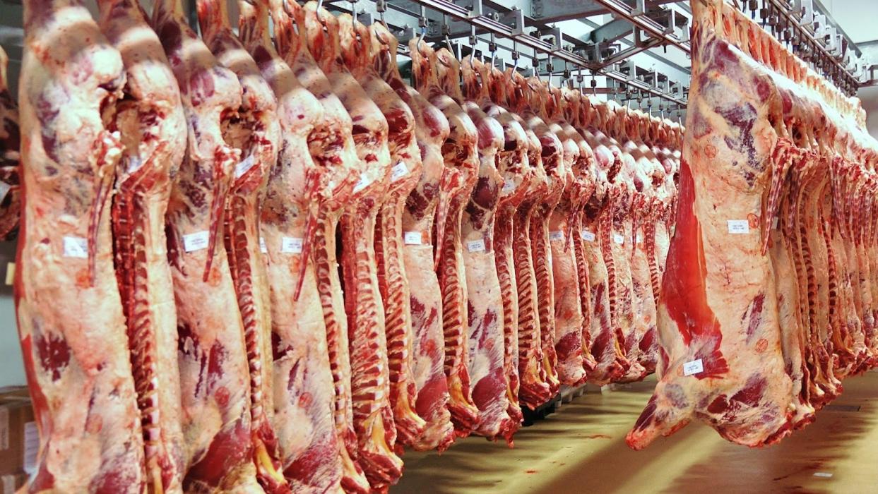 Cần có phương án hỗ trợ doanh nghiệp thu mua, giết mổ, cấp đông thịt lợn