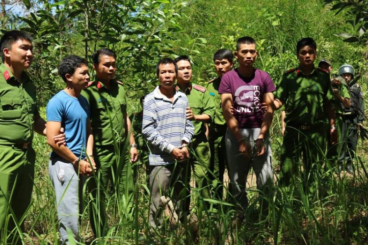 Lực lượng chức năng tỉnh Lâm Đồng đã bắt giữ các đối tượng “bức tử” rừng thông