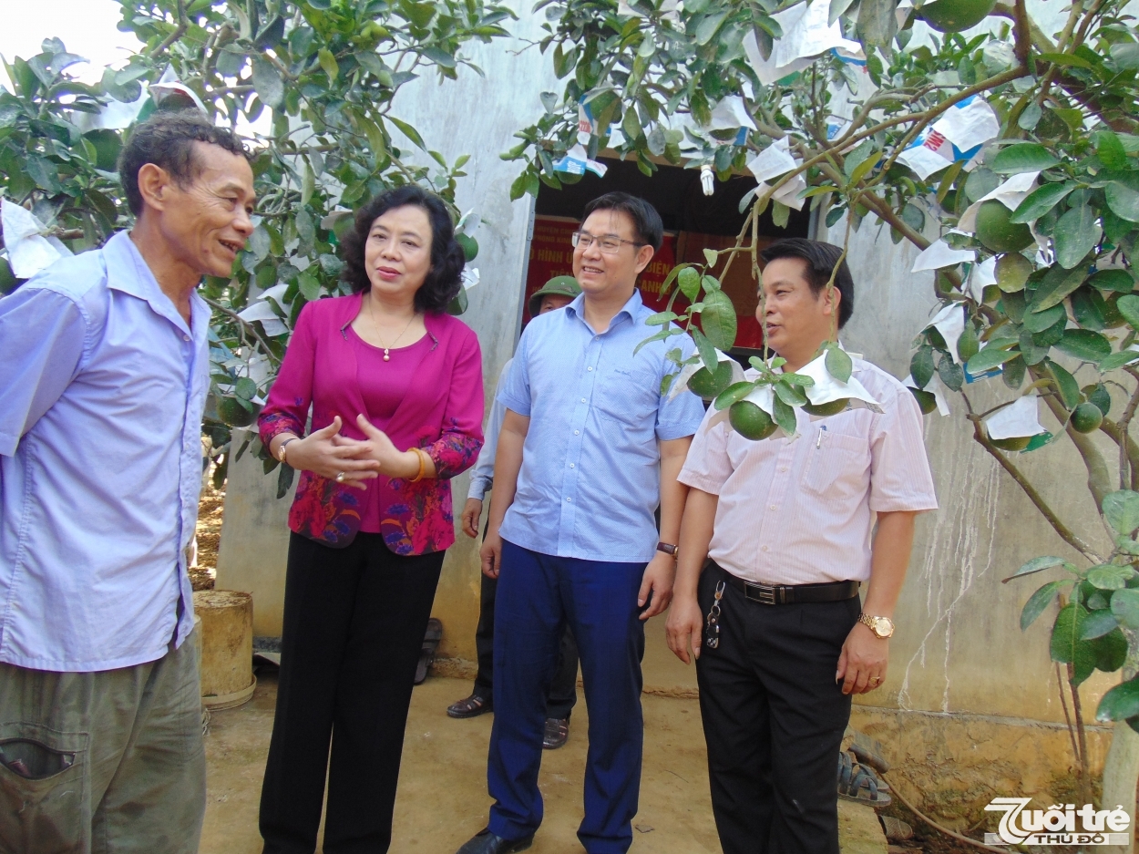Đồng chí Phó Bí thư Thường trực thăm mô hình trồng bưởi hữu cơ tại xã Nam Phương Tiến