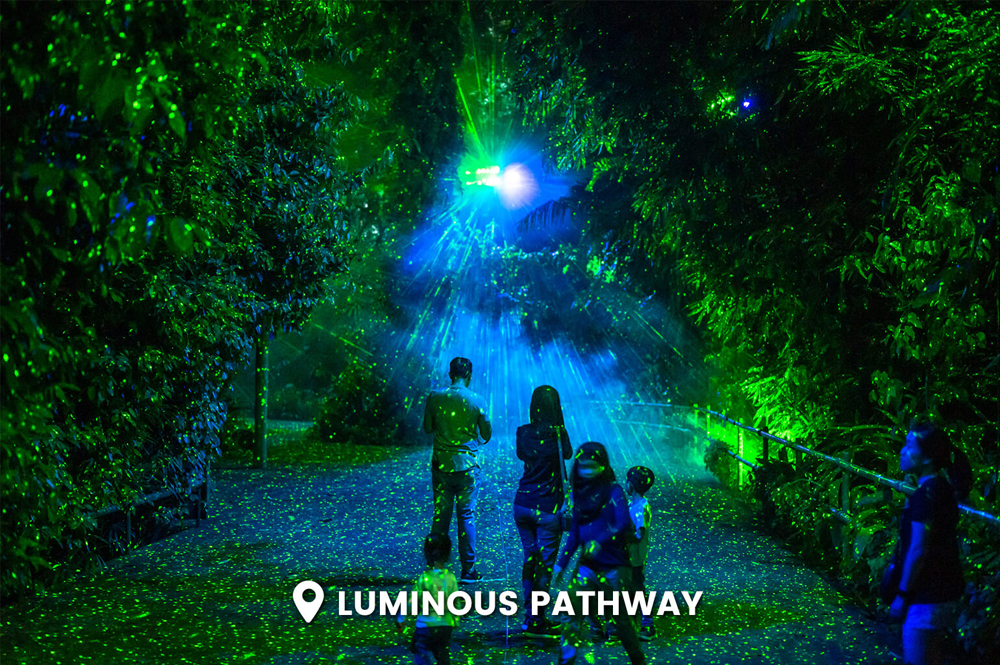 Luminous Pathways (Con đường Rực rỡ) là điểm thứ tư trong hành trình tham quan Rainforest Lumina, nơi các nhà thám hiểm có dịp chiêm ngưỡng những vũ điệu đom đóm đặc sắc