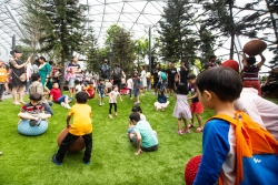Công viên Canopy – điểm dừng chân mới tại khu phức hợp Jewel Changi