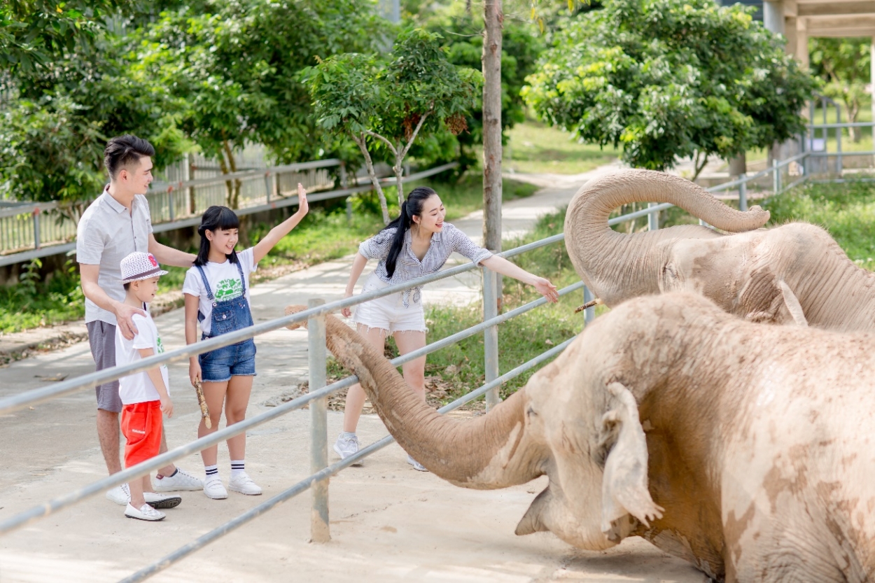 Tổ ấm của hơn 2.000 động vật hoang dã ở vườn thú lớn nhất Bắc Trung bộ