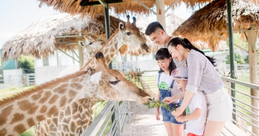 Tổ ấm của hơn 2.000 động vật hoang dã ở vườn thú lớn nhất Bắc Trung bộ