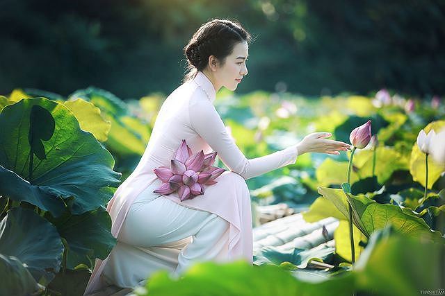 Bộ ảnh chụp với hoa sen của chị Huyền nhận được rất nhiều lời khen.