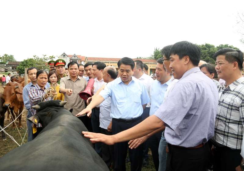 Một dự án tạo ra tiếng vang và có sức lan tỏa mạnh